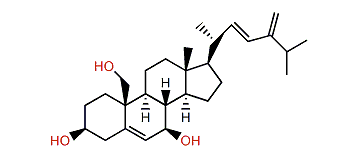 Erectasteroid H